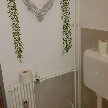 公寓 Myosotis 莫斯特拉纳